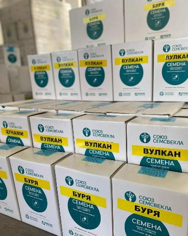 СоюзСемСвекла самый надежный поставщик семян сахарной свёклы! СоюзСемСвекла самый надежный поставщик семян сахарной свёклы!