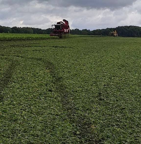 photo_2025-08-27_22-49-21 (2).jpg