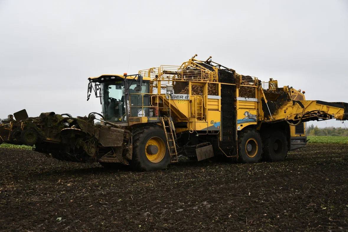 photo_2024-10-18_17-04-44.jpg photo_2024-10-18_17-04-44.jpg