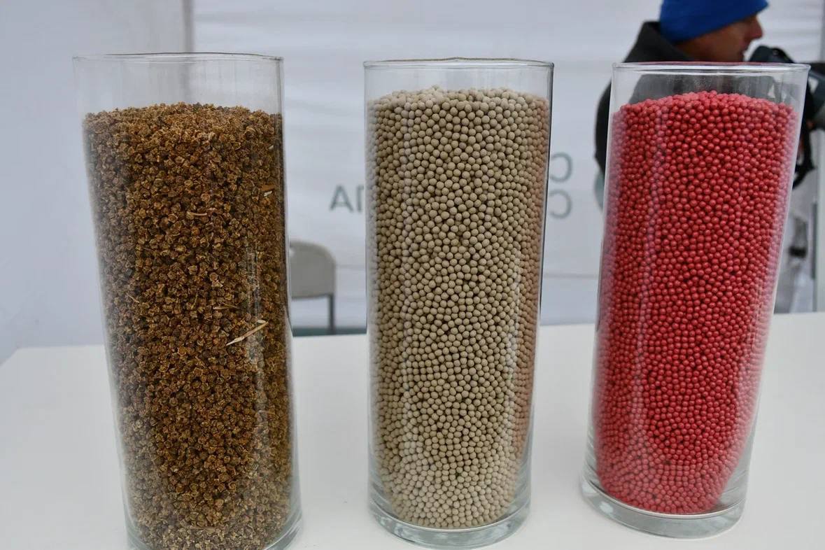 photo_2024-10-18_17-04-43.jpg photo_2024-10-18_17-04-43.jpg