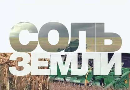 Соль земли. Репортаж из Воронежской области